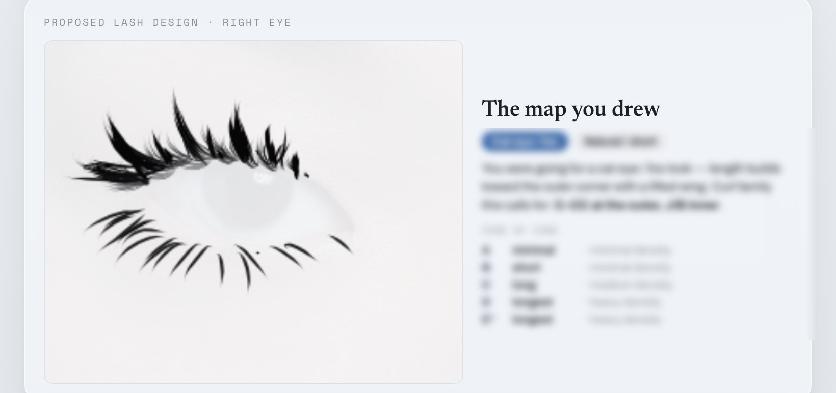 Proposed lash design map in the Eye Designer Compass